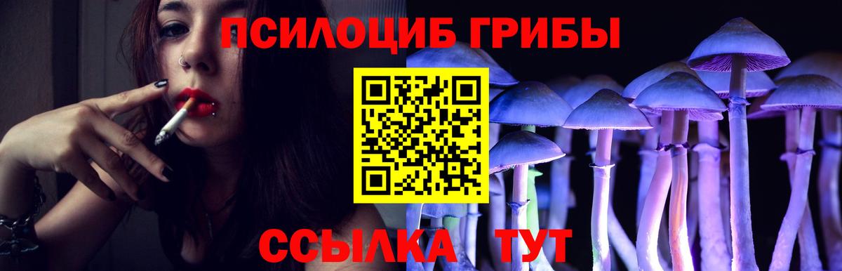 Псилоцибиновые грибы Cubensis Ирбит
